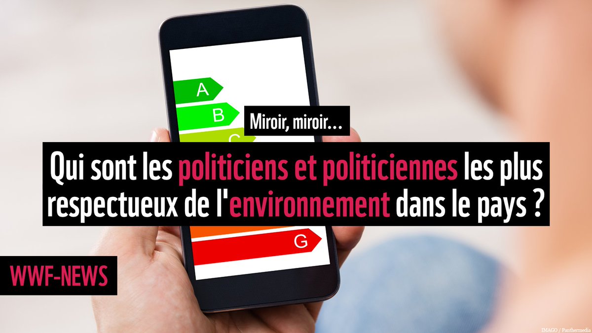 WWF_Suisse's tweet photo. 🧵(1/5) Qui s’engage réellement pour l’environnement sous la coupole fédérale? Cela vaut la peine d'y regarder de plus près! L’#ecorating examine à la loupe le comportement de vote des parlementaires. Les résultats: https://t.co/xyogXvoBPb #ElectionsCH23 #TaVoixPourlEnvironnement https://t.co/PA4YHTvnf8