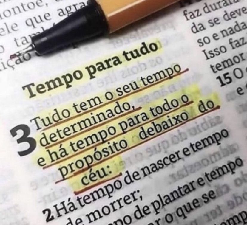 cristo_renovo's tweet photo. Bom dia povo de Deus 🙏🏻 https://t.co/otBEh1bWsQ