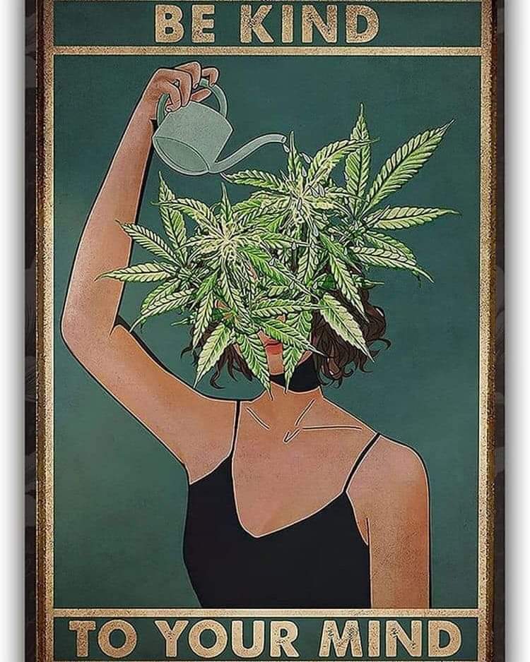Smokybuns 🍃💨❤️‍🔥 (@smokybun420) on Twitter photo 