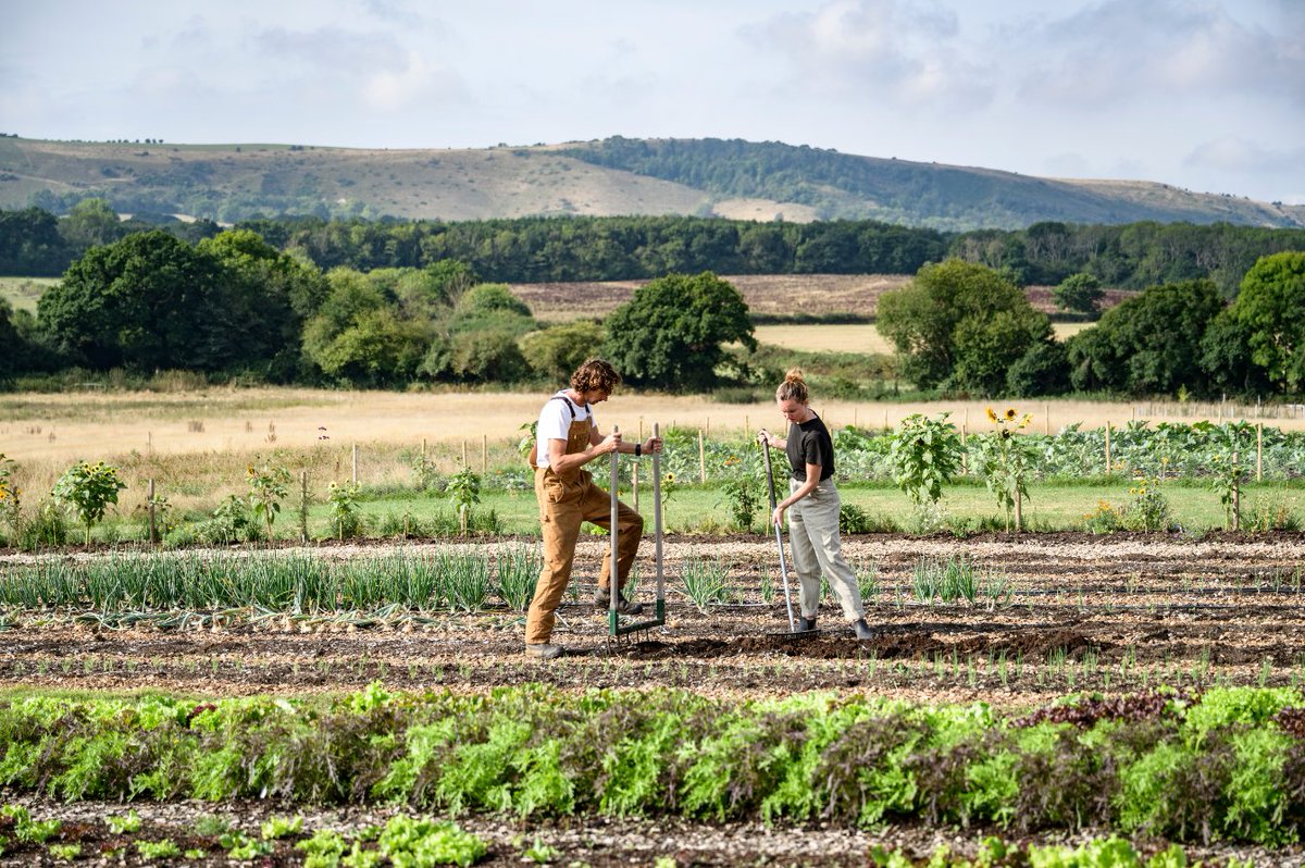 'Soil is for cropping, not for polluting' - Infinity Learn
#QuoteOfTheDay #InfinityLearn #SafeSoilUK

#soil #soilscience #healthysoil #soiltesting #soiltests #soilpollution #crops #gardening #growyourown