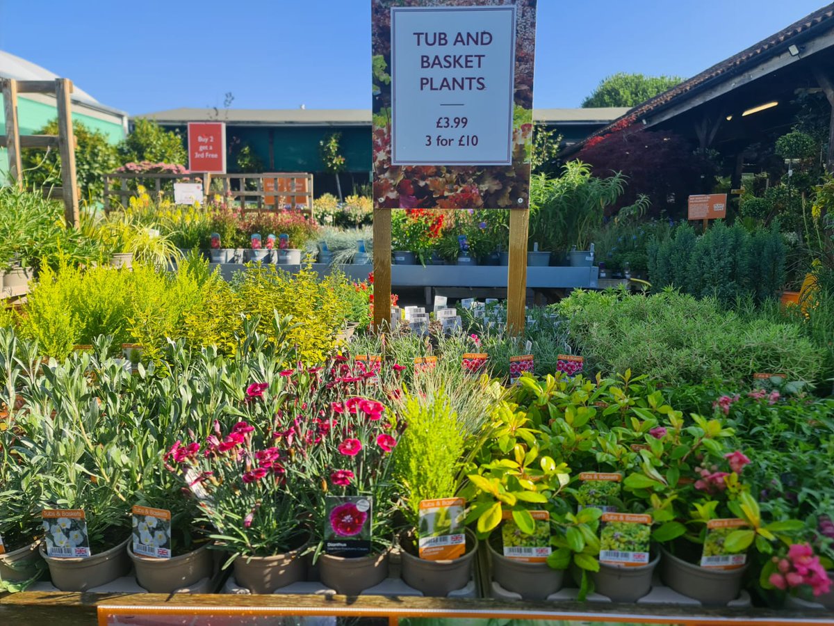 Continue colour into the autumn and winter with our tub and basket plants. We have a great range available, visit us to browse the varieties.