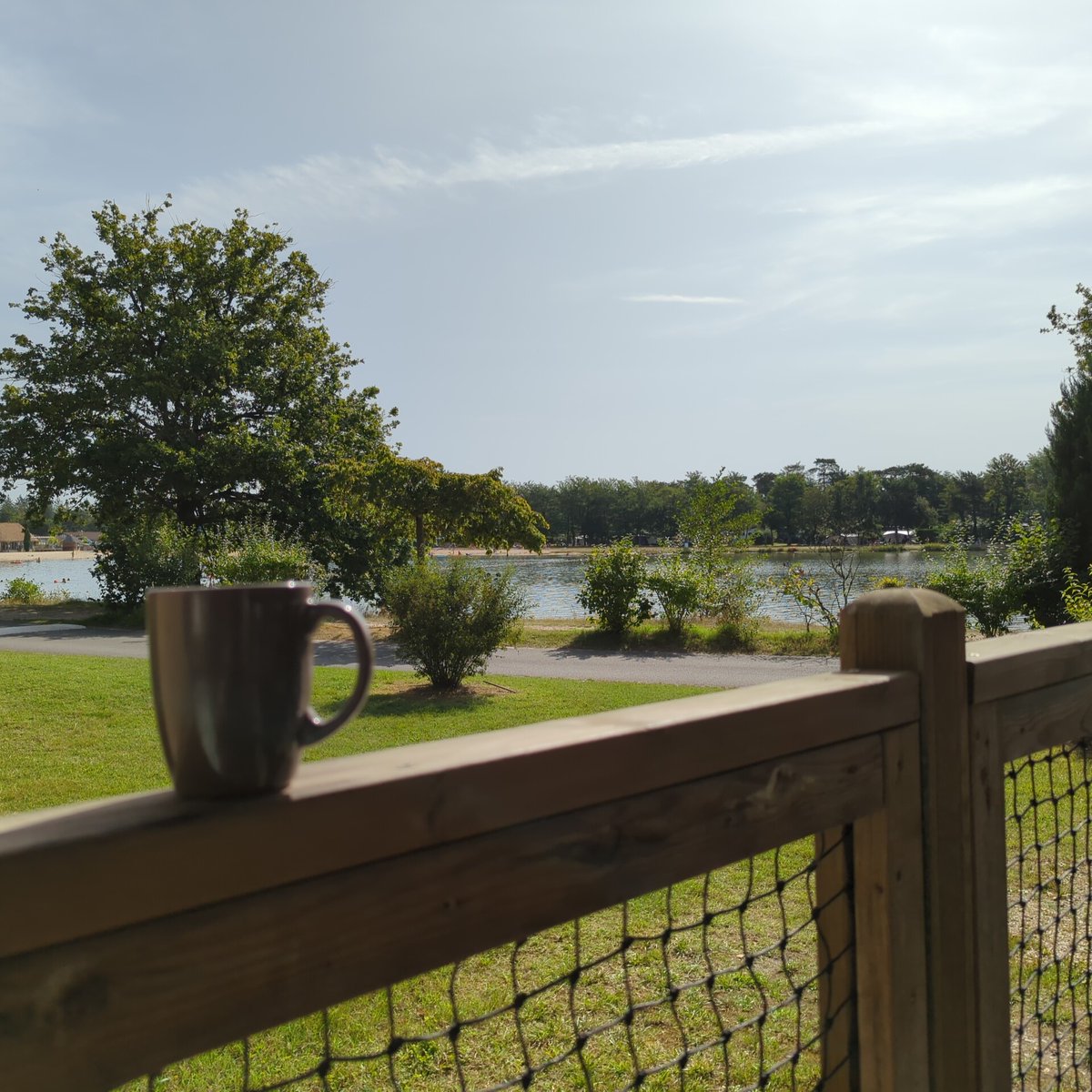 Matt Ward 🇵🇸 tweet media