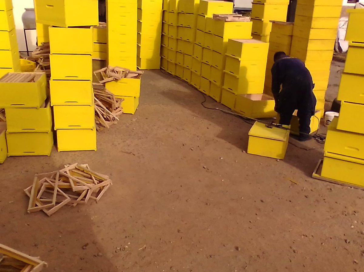 UgandaHive's tweet image. " Get Better #langstroth  Hives : - Tell  +256 759 665 604 | 0776 095 057 🚀 Delivery Countrywide 🏡🍯🌼