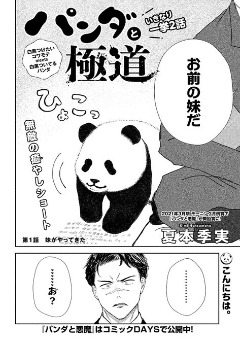 2/3) | 夏本季実🐼パンダと極道全③巻 さんのマンガ | ツイコミ(仮)