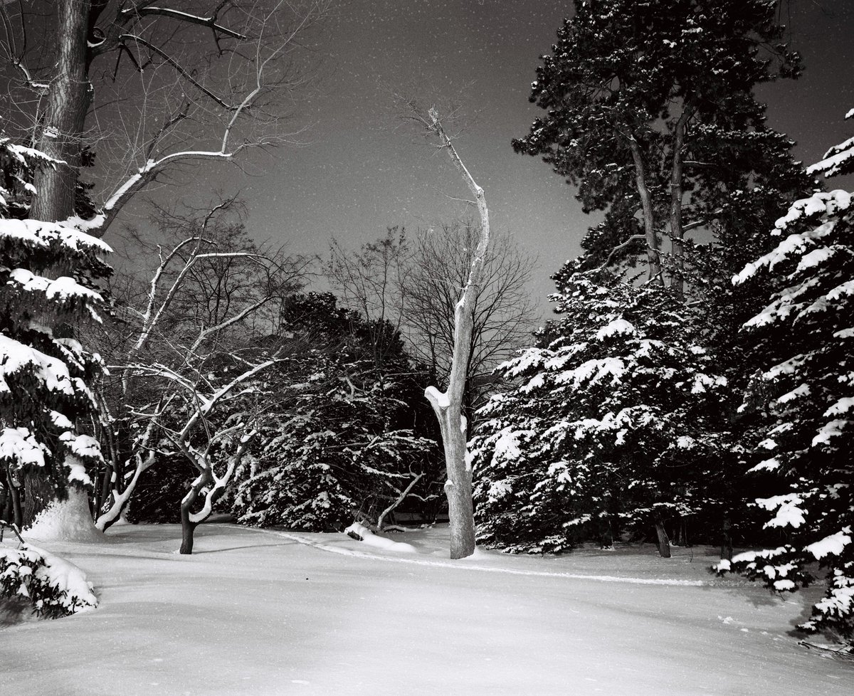 Kenneth (@159_kenneth) on Twitter photo 