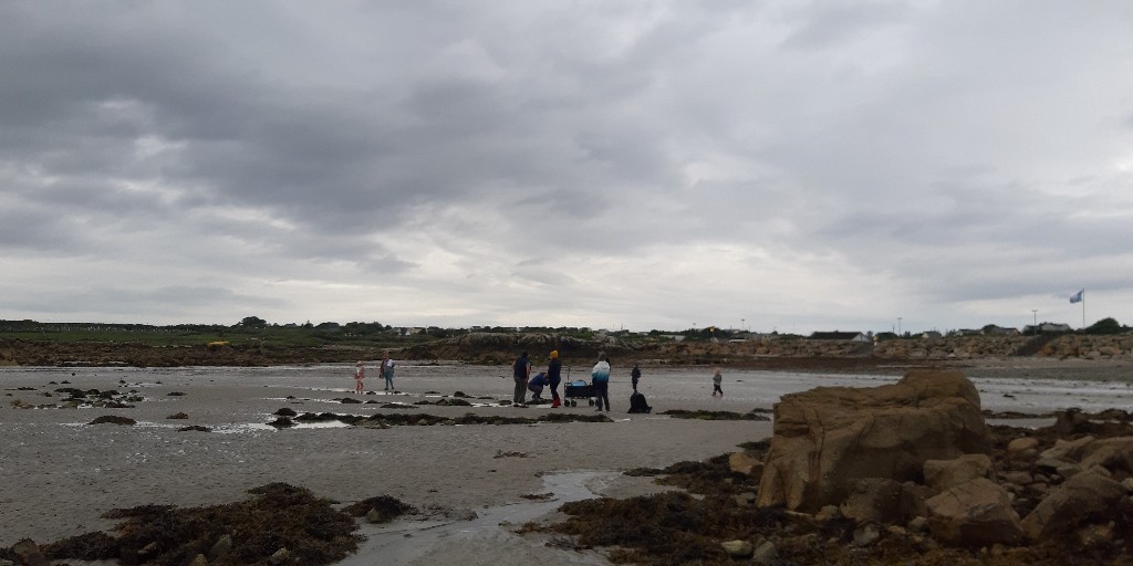 #CleanCoasts were delighted to participate in @GalwayCoCo's #DiscoverTheBeach event as part of #nationalheritageweek2023 in An Trá Mhór, Indreabhán. Participants joined a scavenger hunt & an E#ExploreYourShore event, followed by a beach clean.
@GalwayAquarium @LeaveNoTraceIrl