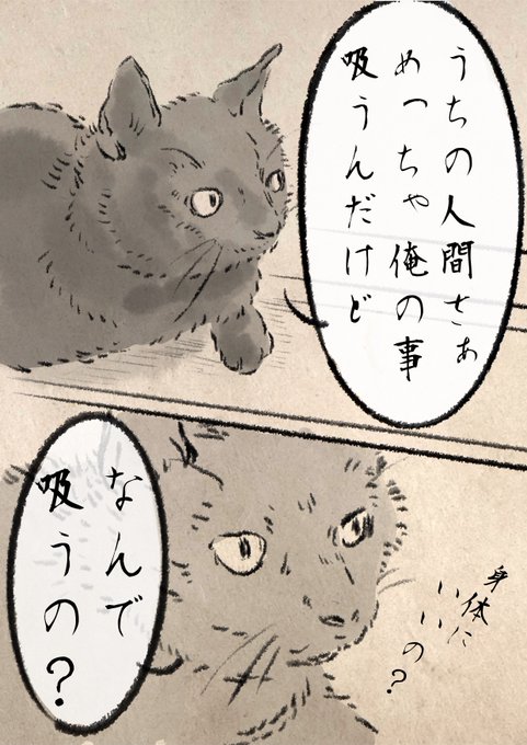 なんでだろう。 