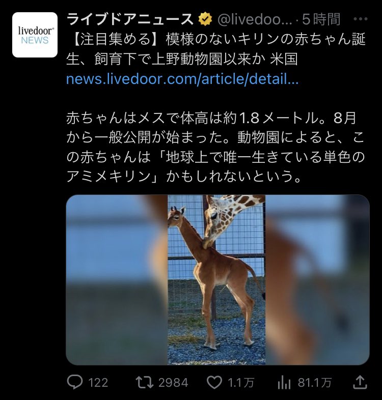 これ一瞬、親キリンが透けてんのかと