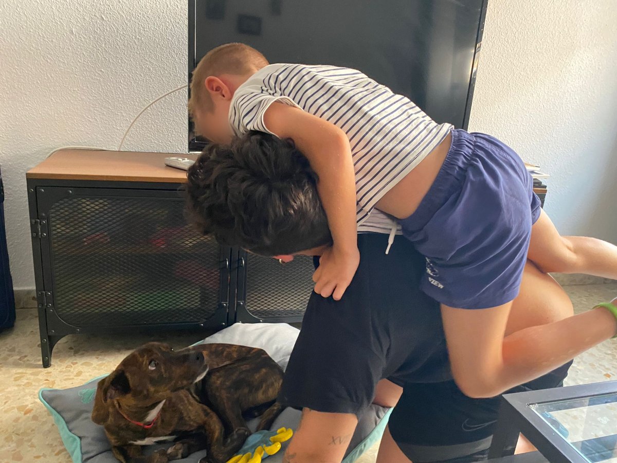 ongCcF's tweet photo. Rodri, un #menor que se encuentra en acogimiento residencial, está viviendo tardes de verano llenas de diversión y amor incondicional gracias al programa de #FamiliasColaboradoras💚.
Tu tiempo #DAMUCHO, ¡colabora!⬇️
https://t.co/IZn7JACm2L #AcogeAdoptaColabora #FundlaCaixa https://t.co/4i7nYgFG6T