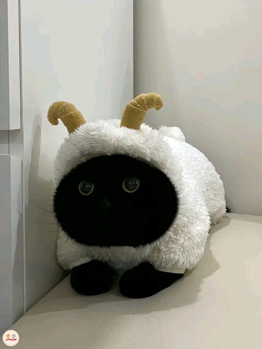 kochengfs's tweet photo. Kcg! Emg boleh ya se shaun the seep ini????? https://t.co/ypycxL8Rct