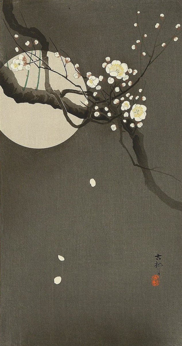 _____yohaku's tweet image. 小原古邨《月に白梅》