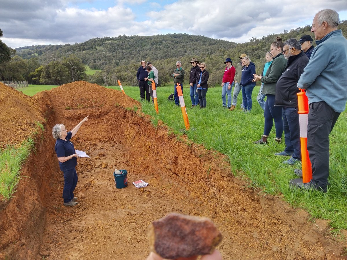 Mick Davis tweet media