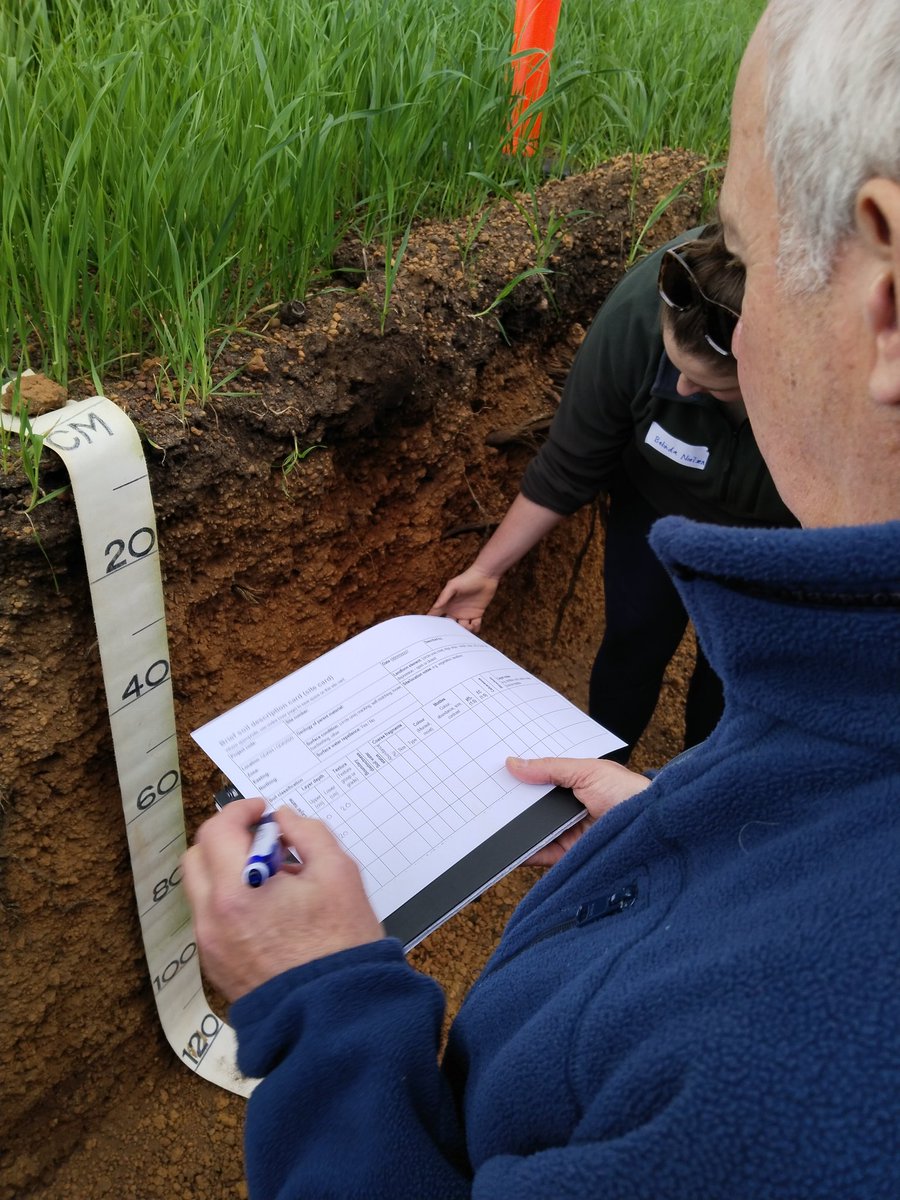 Mick Davis tweet media