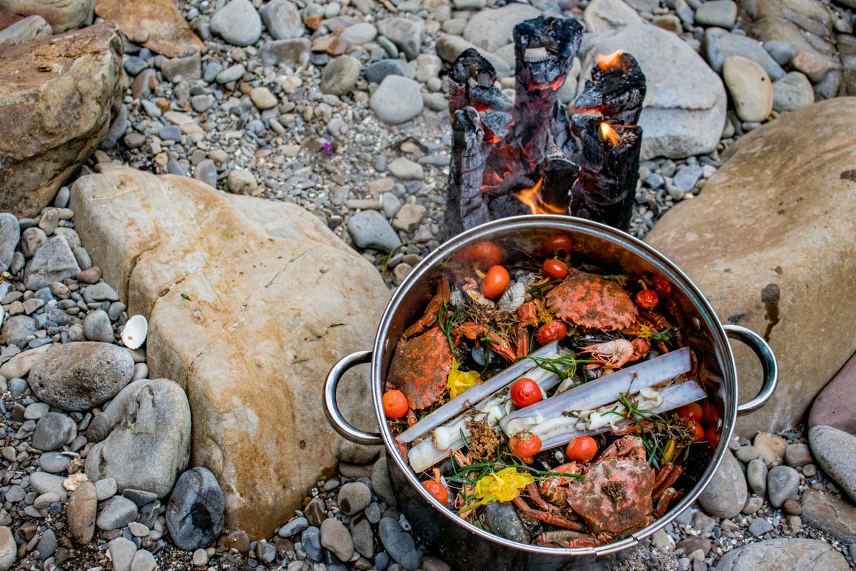 Submitted my Wales coastal foraging piece to @JrnYmag this week, and I'm looking forward to seeing it in print later this year. Huge thanks to @emmgibbs for being such a joy to work with. :)