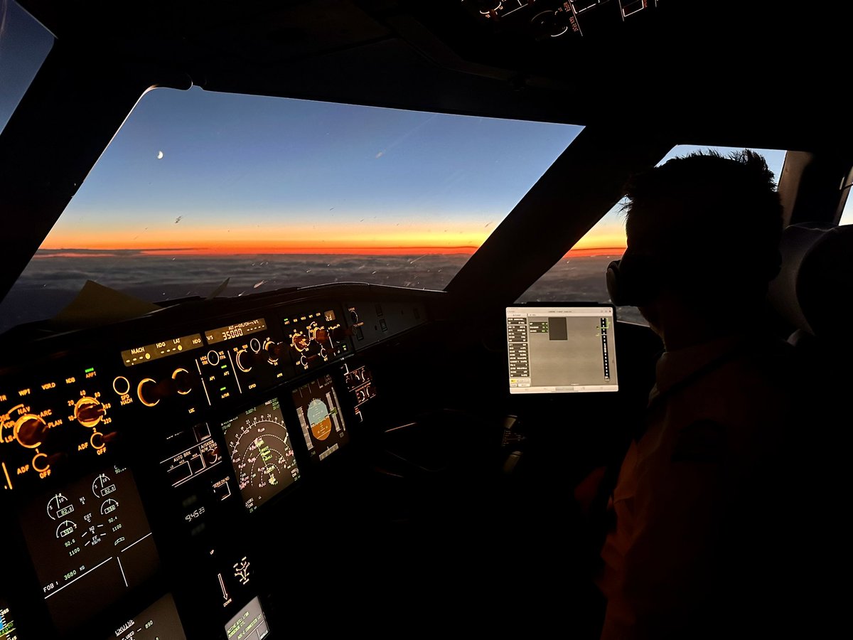 ıuɐpɹoıƃ sɐloɔıu tweet media