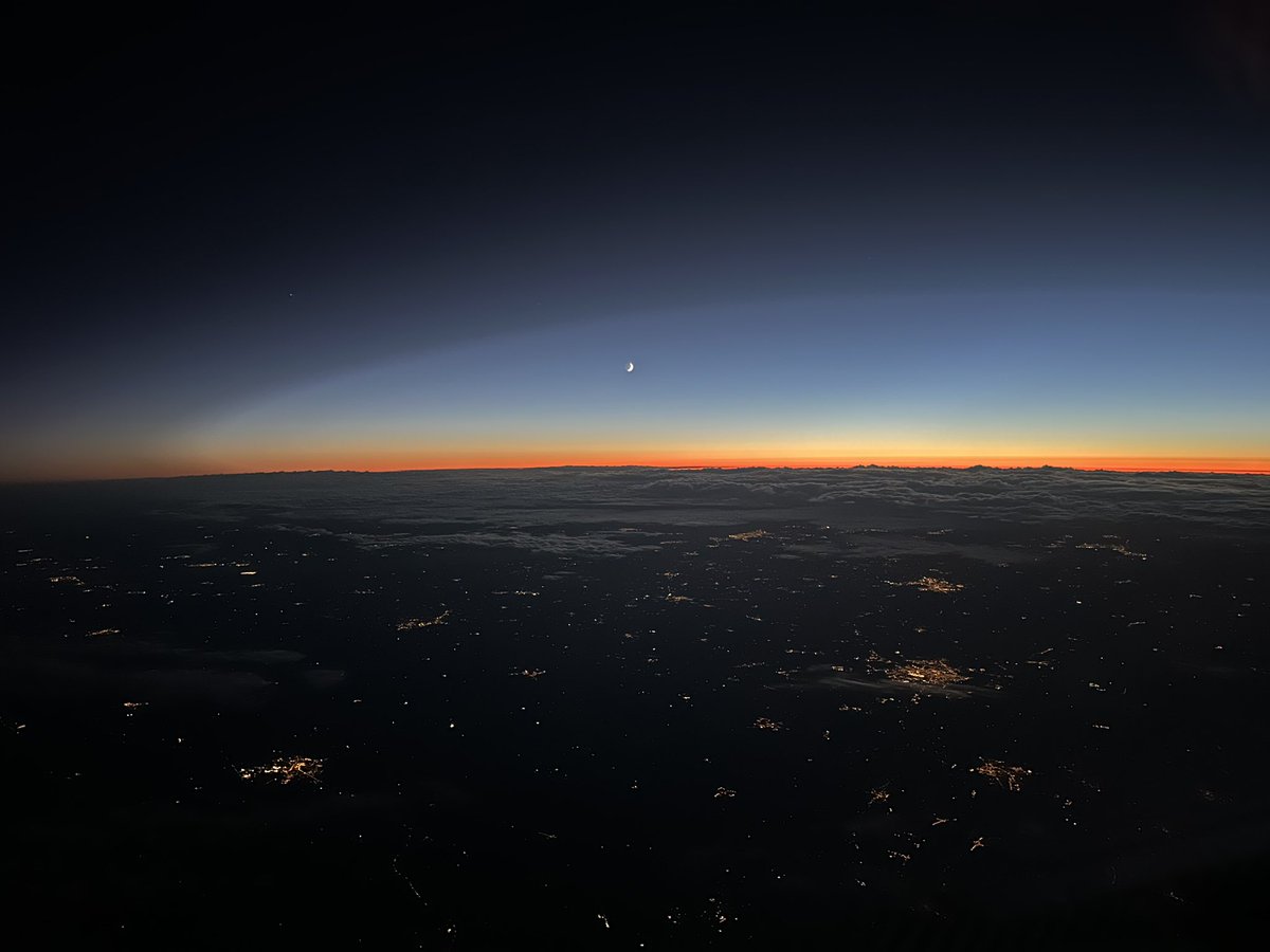 ıuɐpɹoıƃ sɐloɔıu tweet media