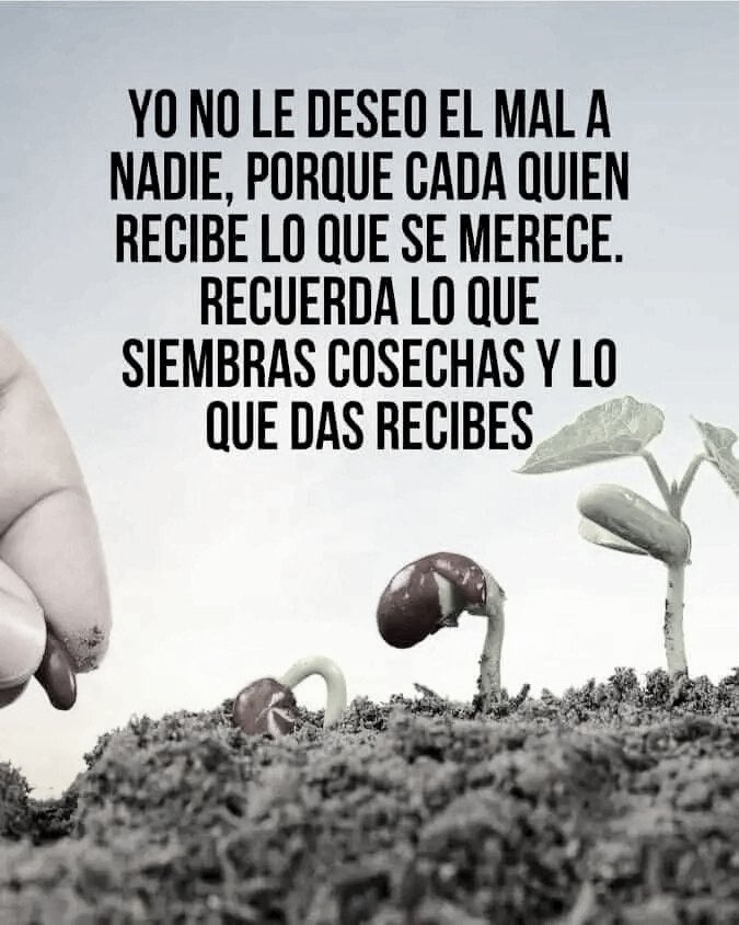 TAL CUAL!