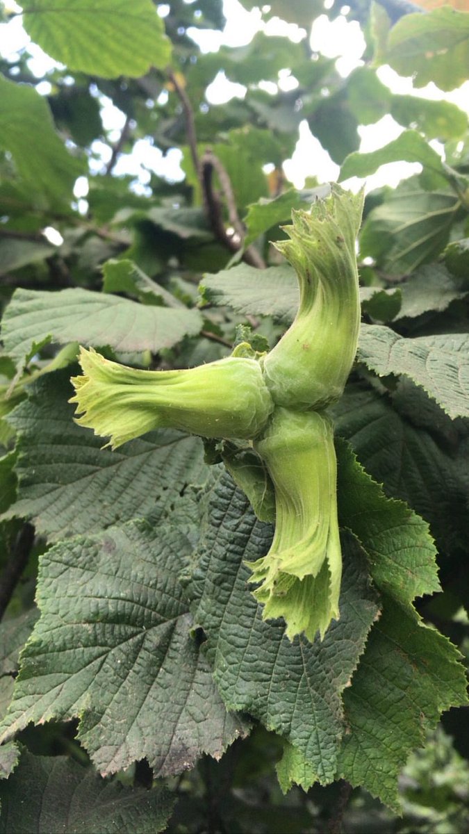 Aynen şekerim tatildeyim