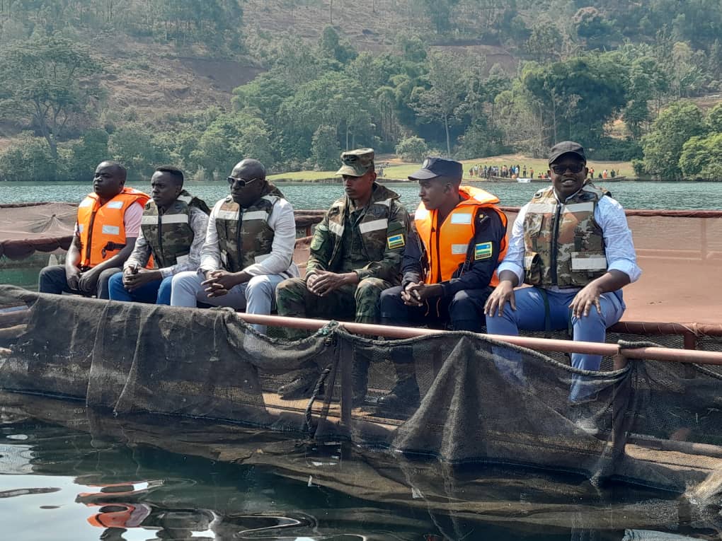 RwandaAgri's tweet photo. Kuri uyu wa 23 Kanama, Umunyamabanga Uhoraho Dr Kamana Olivier yatangije ibikorwa byo gusarura amafi yororewe muri kareremba  mu Kiyaga cya Kivu. Ni ubworozi bukorwa n'ihuriro ry'amakoperative y'abarobyi ba @RusiziDistrict hagamijwe kongera umusaruro wo mu burobyi https://t.co/1WTgzvGTiw