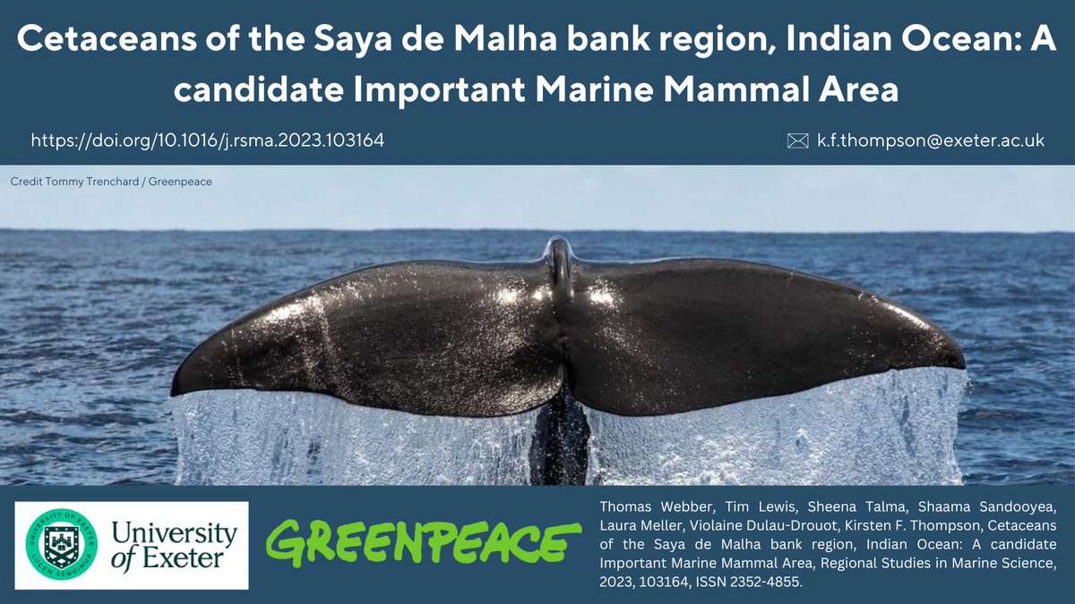 ✨New Paper!✨ Research led by @GPScienceUnit has called for remote part of the Indian Ocean, hotspot for 12 species inc orcas, sperm whales, spinner, striped & bottlenose dolphins, to be a protected area 🐳 Paper: tinyurl.com/4s8ffu64 Press release: tinyurl.com/mt4hff5u