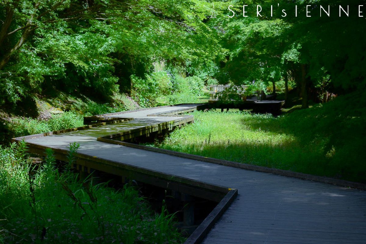 paseri_kn's tweet photo. 濃溝の滝・亀岩の洞窟

山道歩いて辿り着くのかと思ったらめっちゃ整備されてた。

#日本一周 #車中泊 #AroundJapan #vanlife #travel #濃溝の滝 #亀岩の洞窟 #君津 #kimitsu #千葉 #chiba #Japan #ファインダー越しの私の世界 #D5600 https://t.co/LfStVaUkb7