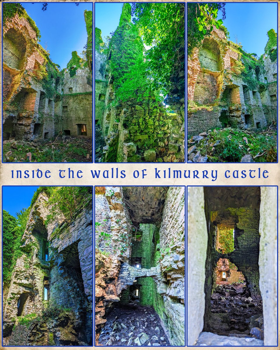 MichaelODonoho5's tweet photo. Inside the walls of Kilmurry Castle, Cordal, Castleisland.
#castleislanddistrictheritage #castleisland #cordal #kilmurrycastle #earlsofdesmonds #HeritageWeek2023 #thelastkingdom #gamesofthrones #witcher #800years #photos #stories #irishhistory #ireland #discoverireland #travel https://t.co/PXsp7R2VTH