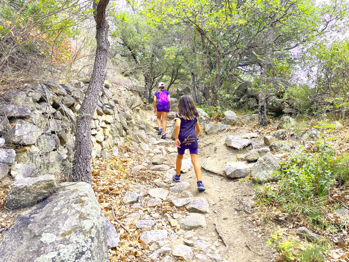 monteditorial's tweet photo. La Maria Pujol, la nostra redactora del blog, ens dona 3⃣consells per escollir una excursió pels infants i fer que connectin amb la natura. Descobreix quins són i comença l'aventura! 🥾
👉 https://t.co/lvl5yl7Gb4 https://t.co/6u6fjAJpbG