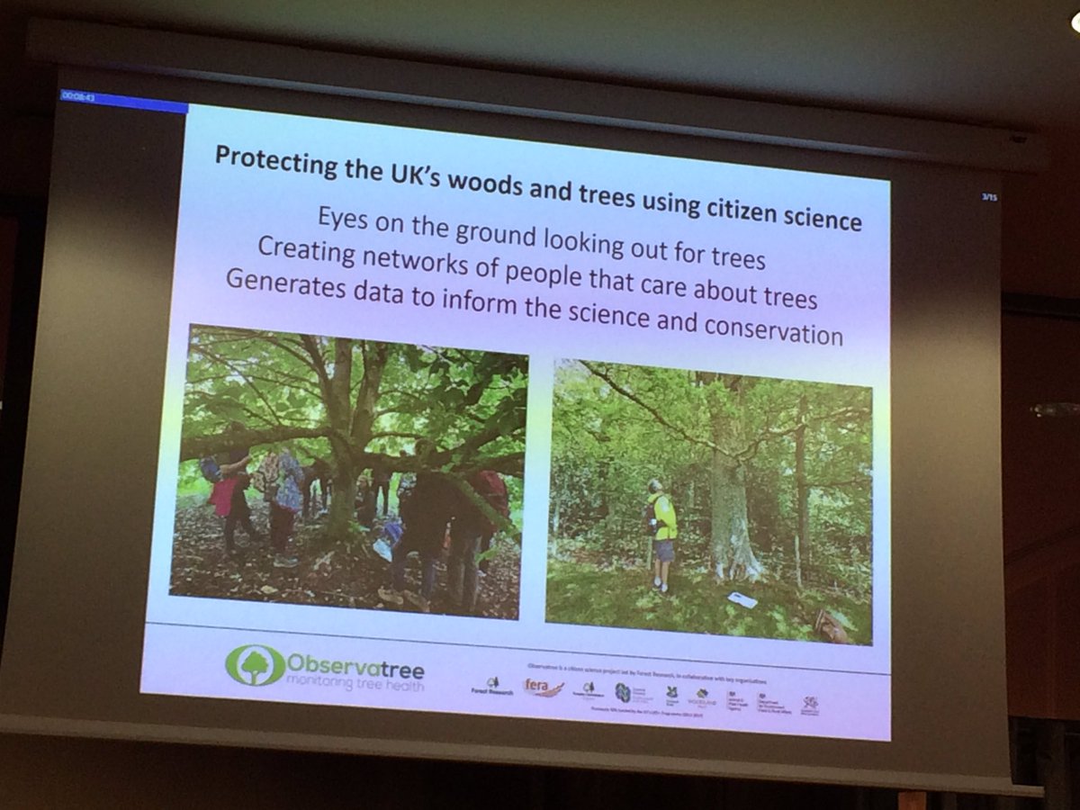 pascal_frey's tweet image. #ICPP2023 @bec_goose on the #ObservaTree #CitizenScience project