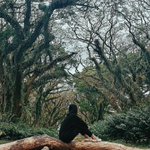 Photo by Adindakrn_ (@dindasirandom)