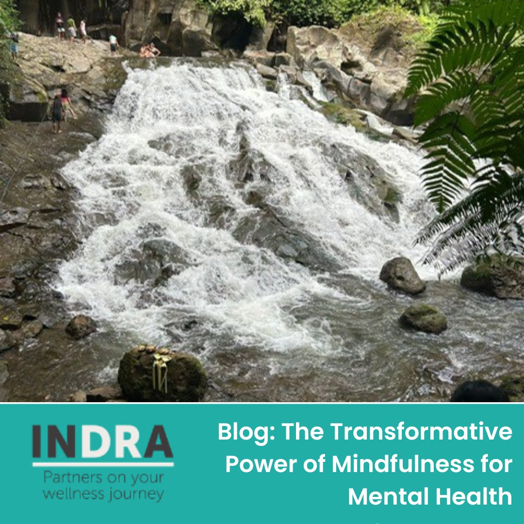 We have another blog for you today, this time from Dr Natasha Patel.  Mindfulness is a word many of us are becoming more familiar with but what does it actually mean and how can we achieve it.

Click here to read: drindra.co.uk/the-transforma…

#mindfulness #mentalhealth