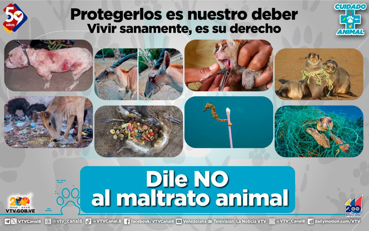 #NoAlMaltratoAnimal🐾| Los animales son los seres más inocentes con los que podemos convivir, capaces de sentir y transmitir amor, lealtad y gratitud, además, brindan su compañía incondicional, por todo ello, merecen respeto, cariño y compasión.

#ConsensoPorElBienestar