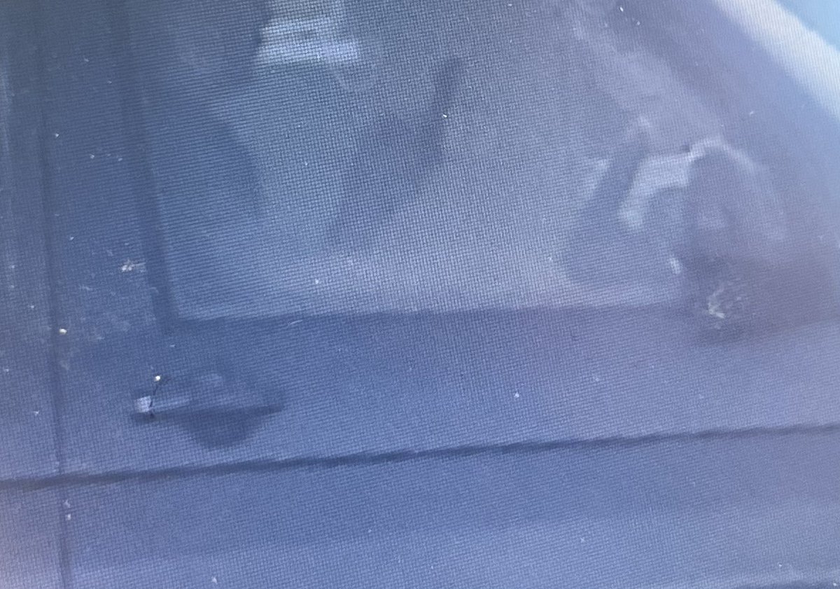 Grainy picture but phone use as clear as day here. One driver issued with TOR after being spotted using his phone at the wheel in Swindon. “I was just checking a text.” #FatalFive #ProjectZero