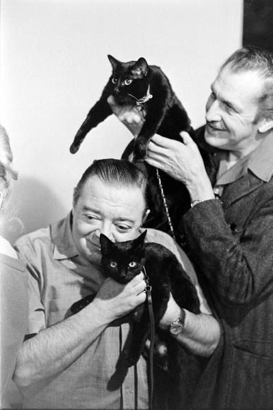 I want to be as happy as Vincent Price and Peter Lorre playing with cats. #SummerUnderTheStars