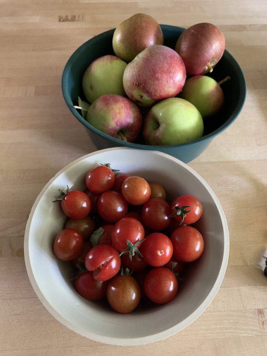 Love this time of year when I’m visually and nutritionally fed from the fruit of my garden #summer2023 #Sunshine