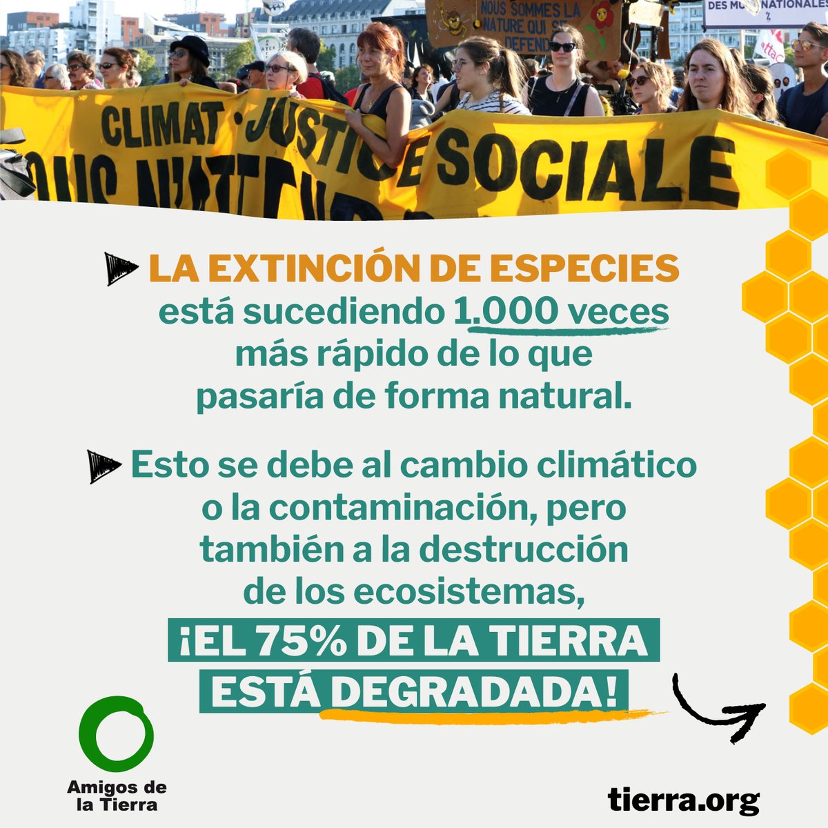🌺🐝 La conservación de los polinizadores permitirá la creación de 28.000 empleos. Publicamos recientemente un informe en el que se calcula el empleo que pueden generar diferentes medidas para proteger a los polinizadores.
tierra.org/la-conservacio…
