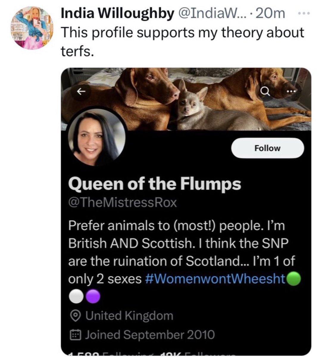 Queen of the Flumps tweet media