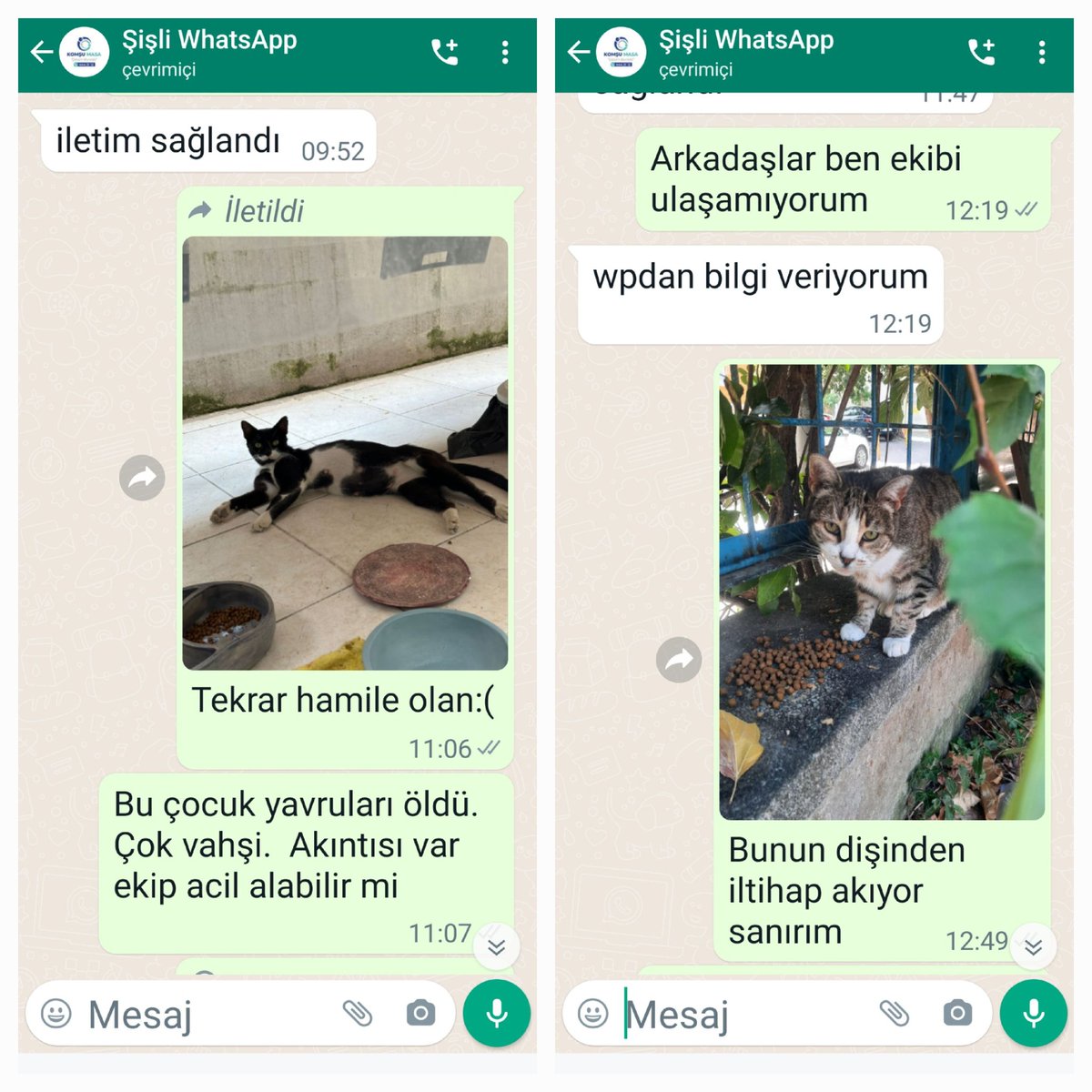 Şişli Belediyesi Veteriner İşleri müdürlüğüne komşu masadan defalarca saat 11.00'den beri kayıt açılmasına rağmen hiçbir ekip hasta hayvanlarımıza geri dönüş sağlamıyor kimseye de ulaşamıyoruz. Gelmiyorlar.  <a href="/sislibelediyesi/">Şişli Belediyesi</a> <a href="/muammerkeskin75/">Muammer Keskin</a> <a href="/ahmetaliyagci/">AHMET ALi YAĞCI</a> <a href="/isttarimorman/">İstanbul İl Tarım ve Orman Müdürlüğü</a>