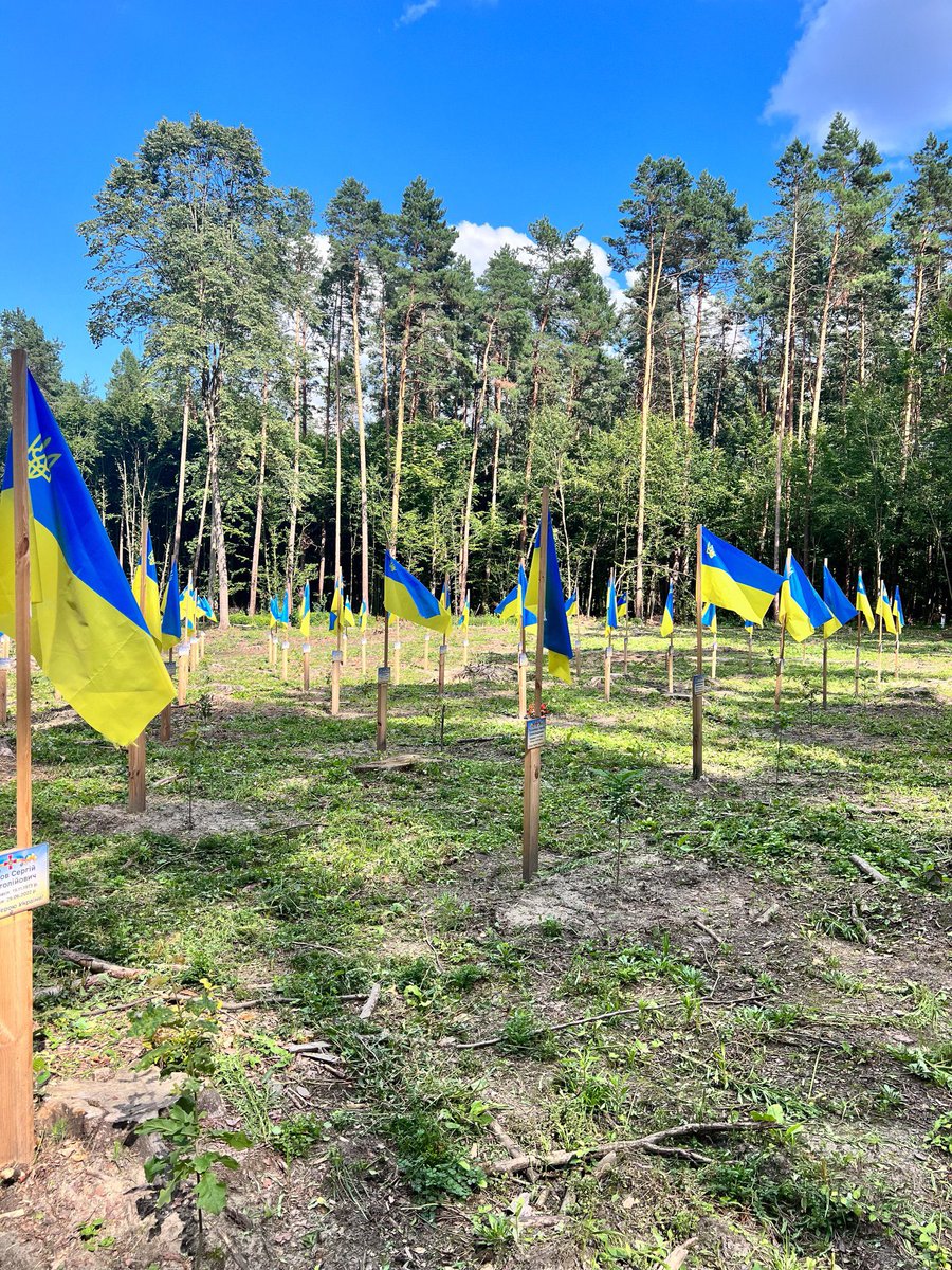 Happy Independence Day 
Forever in my heart,  we won’t forget all the pains we’re going through and we hope for victory and peace to be restored back to the land.#slavaukraini