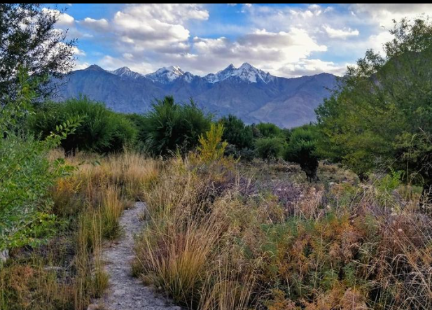 ItsNalanda's tweet photo. Catch a boat to #England baby, or to #Spain. Where ever I have gone, the #mountains are the same.
.
.
.
.
#jacksoncfrank 
#mountainlovers #travelstories #travel https://t.co/R7w4JCQrh8