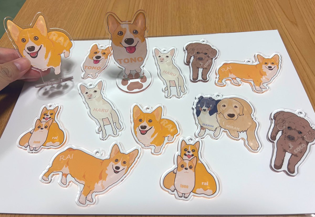 「愛犬アクキー 夫に内緒で作ったのでめっちゃ喜んでましたʕ ◦`꒳'◦ʔ トノとラ」|らくだ：ぼくいつ! 1巻出ました!のイラスト