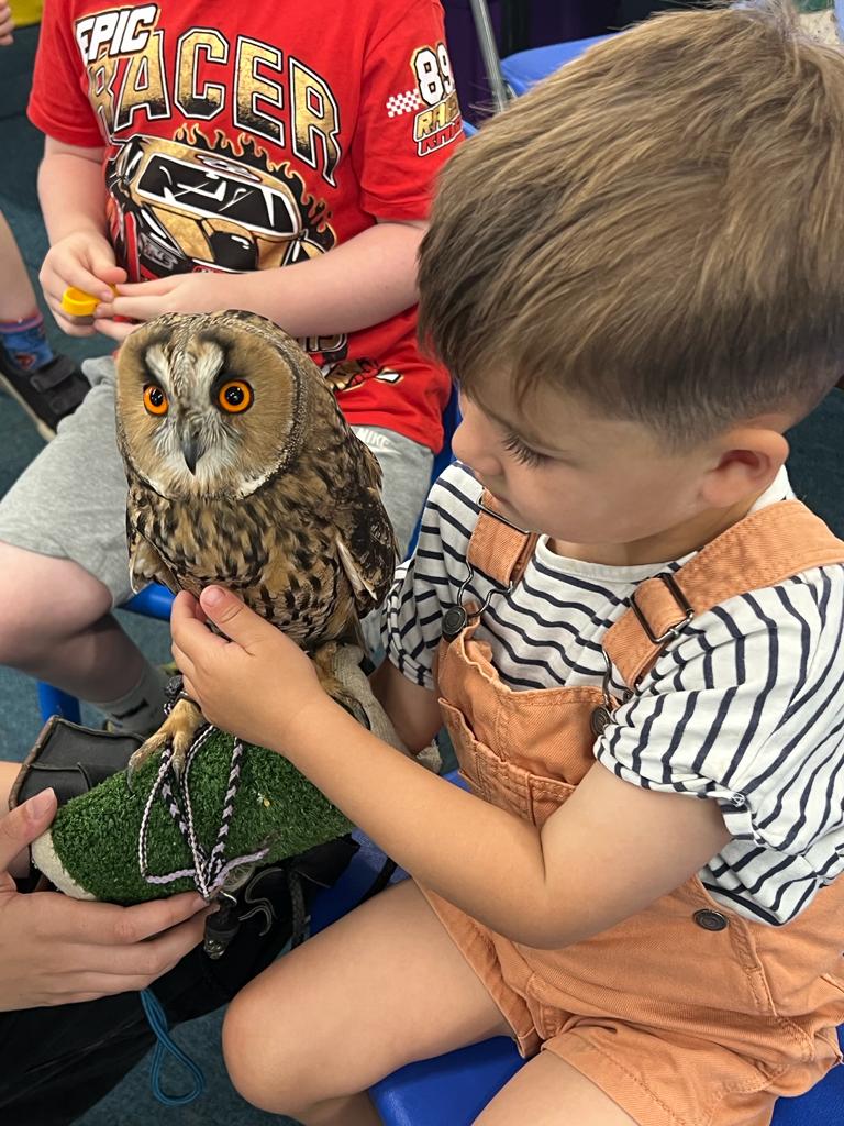BeehiveOf's tweet photo. Thank you to Berkshire Birds of Prey for visiting us today! Always a huge pleasure to see you and your magnificent birds 🦉🦅
#SummerHolidayClubs https://t.co/SOpbI4PB8A
