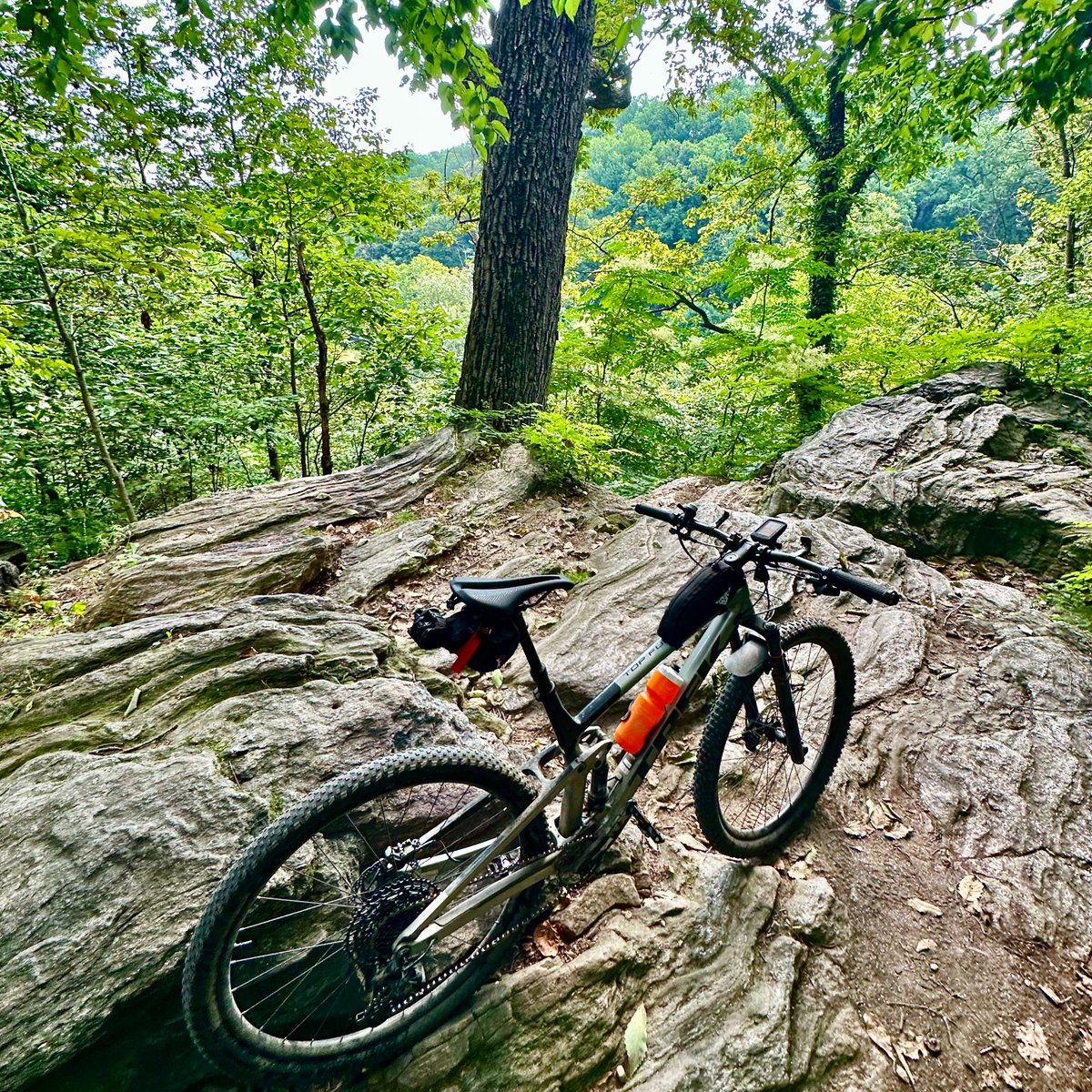 Benjamin Le tweet media