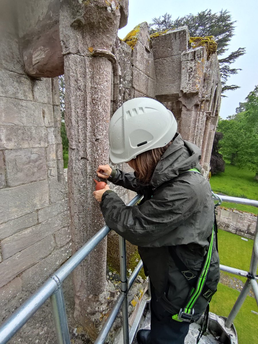 Clara Molina Sanchez (@cmolinasanchez) on Twitter photo 📢JOB ALERT📢
We are looking for a #StoneConservator to join our Applied Conservation team at <a href="/HistEnvScot/">Historic Environment Scotland</a> .
Please share with your #StoneConservation network!
Any question, please get in touch.
Closing date 29th August
2 year fixed term - More info
applications.historicenvironment.scot/intranet/job_s… 📢JOB ALERT📢
We are looking for a #StoneConservator to join our Applied Conservation team at <a href="/HistEnvScot/">Historic Environment Scotland</a> .
Please share with your #StoneConservation network!
Any question, please get in touch.
Closing date 29th August
2 year fixed term - More info
applications.historicenvironment.scot/intranet/job_s…