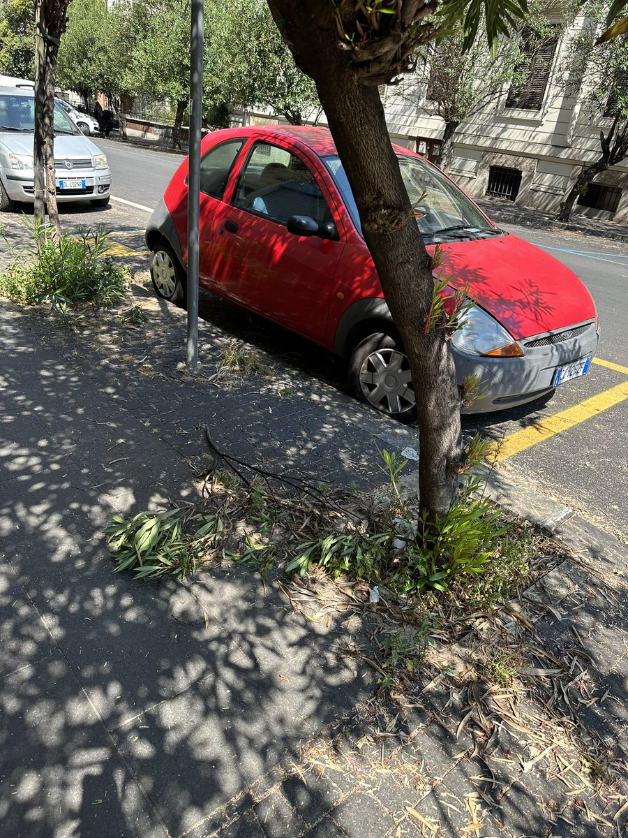 cribeta's tweet photo. @amaromacapitale @Sabrinalfonsi @Delbellotw @MunicipioRoma2 
La scarsa pulizia su Via Giovanni Pacini. Grazie https://t.co/jP1GbScMoG