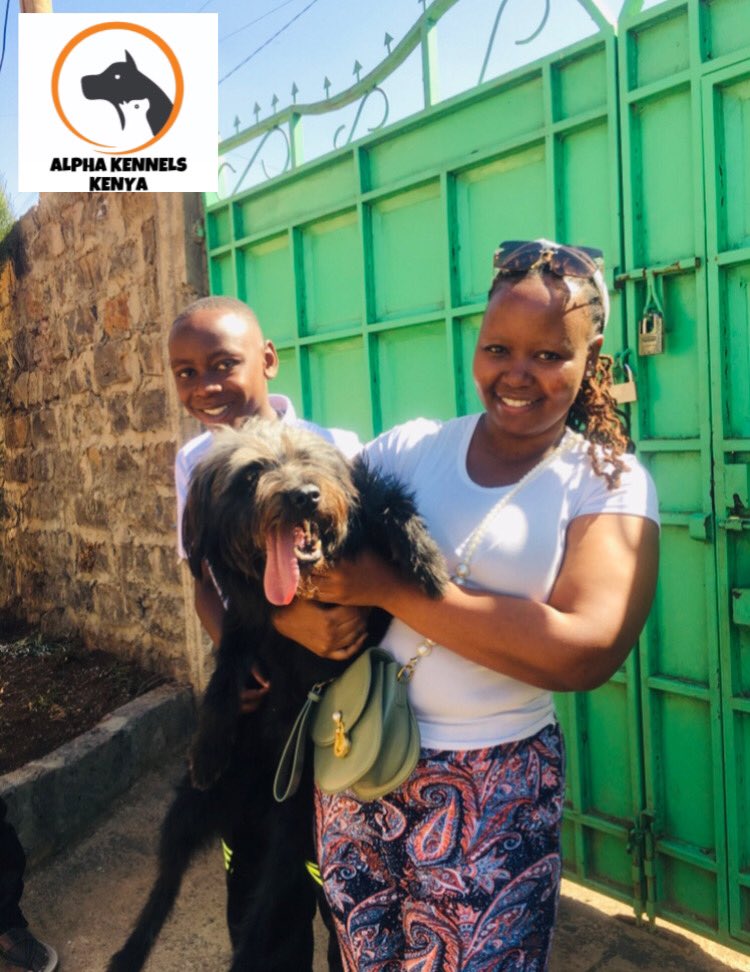 We’re happy to report that Jeniffer & her family have successfully adopted Luna.We wish them many happy years to come!

Talk to us now if you feel you are at crossroads & can no longer manage to take care of your pet.

#petadoption