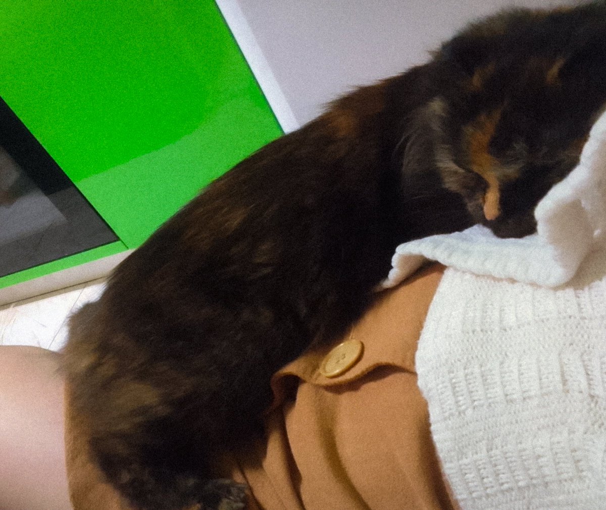 у норы тихий час. тсс.