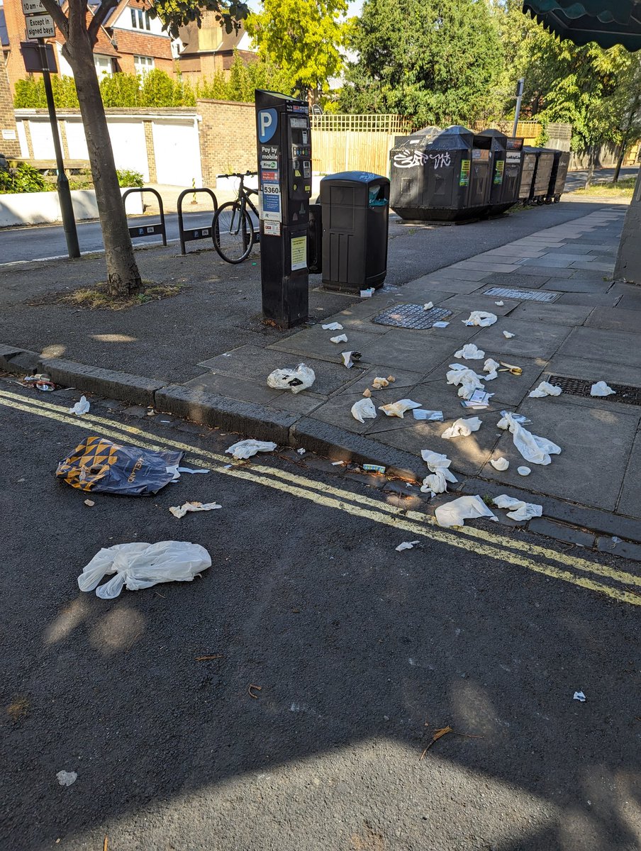 Dear <a href="/LBRuT_Help/">Richmond Council Help</a>. Can you sort this out, please. Corner of Pope's Avenue and Wellesley Parade.