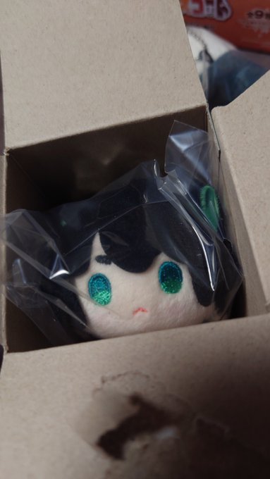 黒シャオヘイー!目が!目が孔雀色!かわいい! 