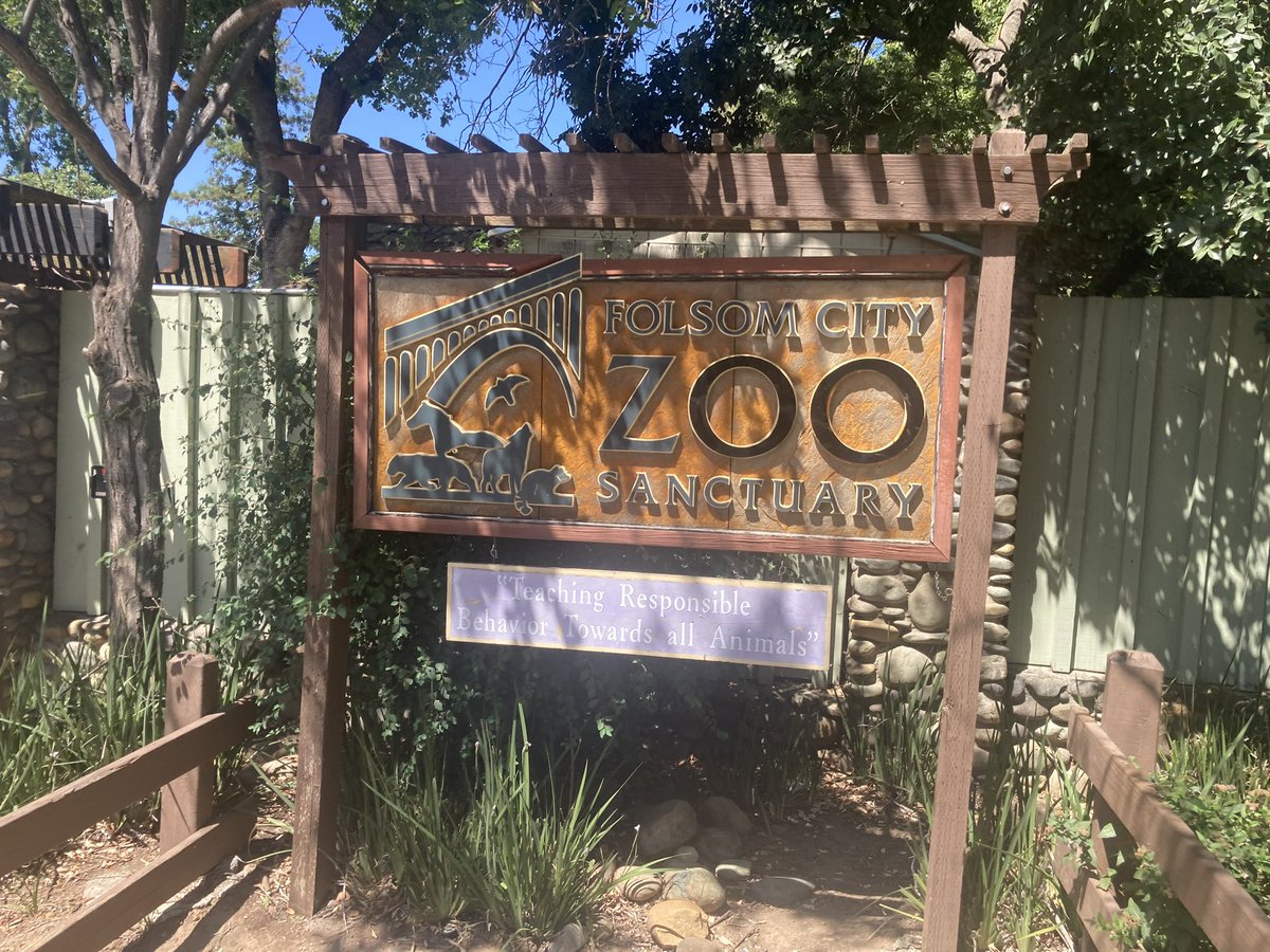 I enjoyed the #folsomcityzoosanctuary and I #appreciate the work they do.  #zoos #animalsanctuaries