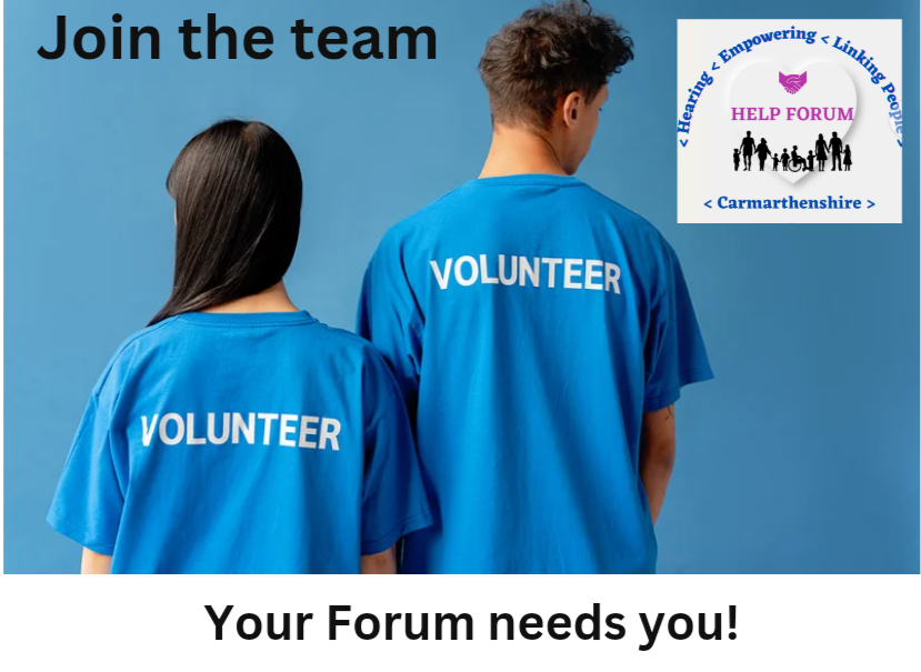 Carmarthenshire HELP Forum tweet media